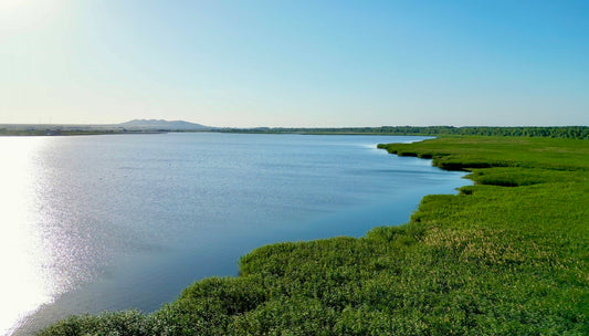 Das Donaudelta: Ein Naturwunder von internationaler Bedeutung