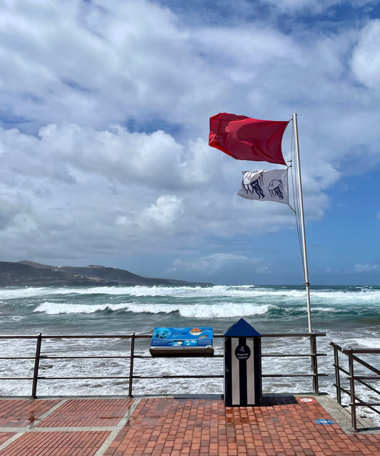 Flaggenkunde für Strandurlauber: So meistert ihr die Farben am Strand von Gran Canaria