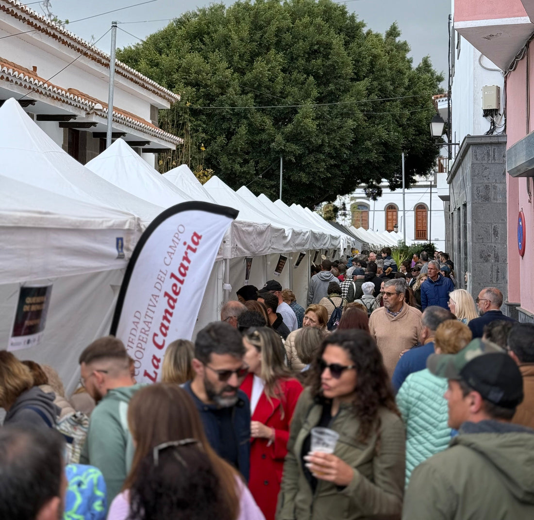 Ein Genuss für Käseliebhaber: Feria Europea del Queso – Die Europäische Käsemesse auf Gran Canaria